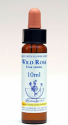 Healing Herbs Wild Rose Ανθοΐαμα 10ml