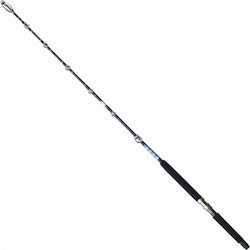 Tatler Huntertat 1.50m
