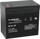 SunLight SPB 12-55 UPS Battery with Capacity 55Ah and Voltage 12V 1pcs