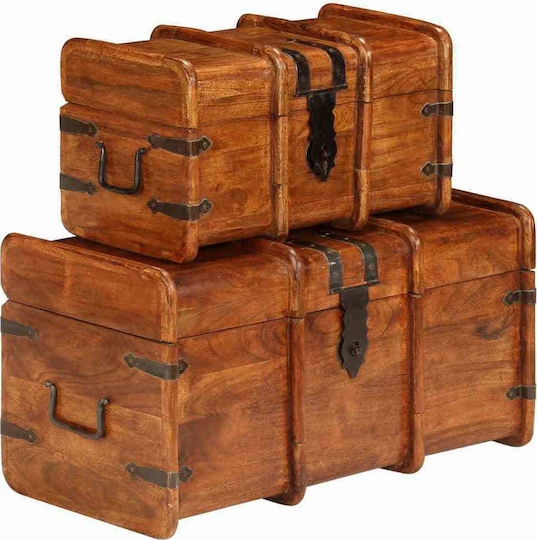 vidaXL Wooden Decorative Trunks Set Brown 2pcs