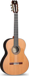 Alhambra 10 FP Pinana Flamenco Classical Guitar 4/4