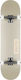 Globe Goodstock 8" Komplett Kurzboard Beige