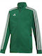 Athletic Kids Cardigan Green Tiro 19 Training