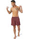 Herren Badebekleidung Shorts Braun