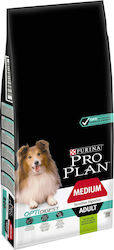 Pro Plan OpitDigest Pro Plan OpitDigest
