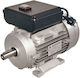 Plus Single-Phase Electric Motor 1hp Maximum RPM 2800rpm with Wedge 220V