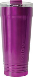 Igloo Logan 890ml Purple Wine