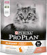 Purina Pro Plan Elegant Adult Optiderma Dry Food for Adult Cats with Salmon 1.5kg