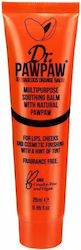 Dr. Pawpaw Outrageous Orange Balm Liquid Ρουζ Dr. Pawpaw Outrageous Orange Balm Liquid Ρουζ