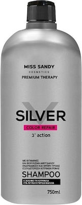 Miss Sandy Silver Shampoos Color Maintenance for Coloured Hair 750ml