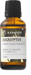 Kanavos Ätherisches Öl Eukalyptus 30ml