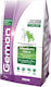 Monge Gemon Medium Adult 20kg Dry Food for Adult Medium Breed Dogs with Rice and Lamb