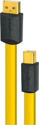 Wireworld Chroma USB 2.0 USB-A male σε USB-B male Κίτρινο 0.6m Wireworld Chroma USB 2.0 USB-A male σε USB-B male Κίτρινο 0.6m