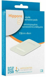 Hippocrates Topmedical Hippore Αποστειρωμένα Αυτοκόλλητα Επιθέματα Αυτοκόλλητες Γάζες Hippocrates Topmedical Hippore Αποστειρωμένα Αυτοκόλλητα Επιθέματα Αυτοκόλλητες Γάζες