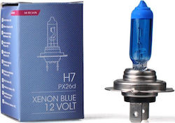 M-Tech Лампи Автомобила & Мотоциклета Xenon Blue H7 Халогенни 5000К Хладно бяло 12V 55W 1бр