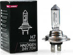 M-Tech Lamps Car & Motorcycle Halogen H7 Halogen 24V 70W 1pcs