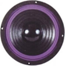 Spaun Woofer De Boxă SSW-810 Spaun Woofer De Boxă SSW-810
