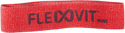 FlexVit Mini Mini Loop Resistance Band Moderate Red