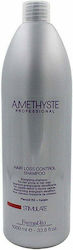 Farmavita Amethyste Stimulate Hair Loss Control