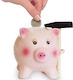 Money Box Ceramic Pink 14x8cm
