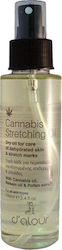 D'Alour Stretching Λάδι Κατά των Ραγάδων 100ml D'Alour Stretching Λάδι Κατά των Ραγάδων 100ml
