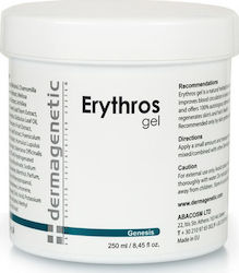 Dermagenetic Red Gel for Slimming 250ml