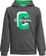 Kids Sweatshirt with Hood Gray Hooded Sweatshirt