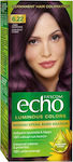 Farcom Echo Set Hair Dye 6.22 Dark Violet Blond 60ml