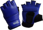 Olympus Sport WTF Hand Protectors 4000699 Blue
