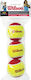 Wilson Starter Red Kids Tennis Balls 3pcs