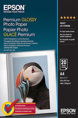 Epson Hârtie foto A4 (21x30) 255gr/m² pentru Imprimante Jet de cerneală 20 de hârtie fotografică
