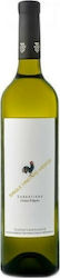 Oinopoieio Papagiannakos Single Vineyard Alte Reben Weiß Trocken 750ml