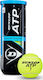 Dunlop ATP Championship Practice Tennis Balls 3pcs