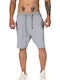 Splendid Karma Herrenshorts Gray