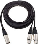 Pro snake Cable XLR male - 2x XLR female 5,00m (FFM 1050)