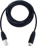 Pro snake Cable XLR male - XLR female 5.0m (DMX AES/EBU 5,0)