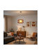 Home Lighting Amarylis Hängelampe Orange mit Fassung E27 45x45x120cm.
