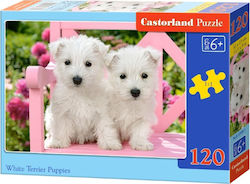 Kids Puzzle White Terrier Puppies 120pcs Castorland