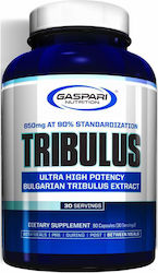 Gaspari Tribulus 90 capace