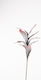 InTheBox Artificial Decorative Branch Red 95cm 12pcs 015009