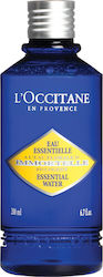 L'Occitane Toning Lotion