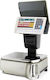Digi Systems SM-5500A EV Plus 7"-12.1" Electronic Retail Scale with Column and Label Printing Capability with Weighing Capacity of 30kg and Division 0.5gr