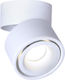 Lucas SP12 Monos LED Spot în Culoare Alb