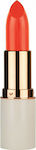 MD Professionnel Volume Up Lipstick Lippenstift Lang anhaltend Reines