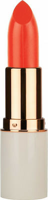 MD Professionnel Volume Up Lipstick 49