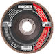 Raider Disc de șlefuire Fluturaș A150 125mm Disc de șlefuire Μetal 125mm