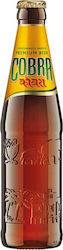 Cobra Lager Flasche 330ml Cobra Lager Flasche 330ml