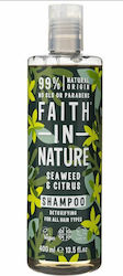 Faith in Nature Sampon De Par Reconstrucție/Hrană 400ml