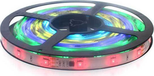 Atman LED Strip 24V RGB Light 5m Type SMD5050