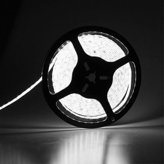 Atman Αδιάβροχη Ταινία LED 24V Φυσικό Λευκό Φως 5m Τύπου SMD5050